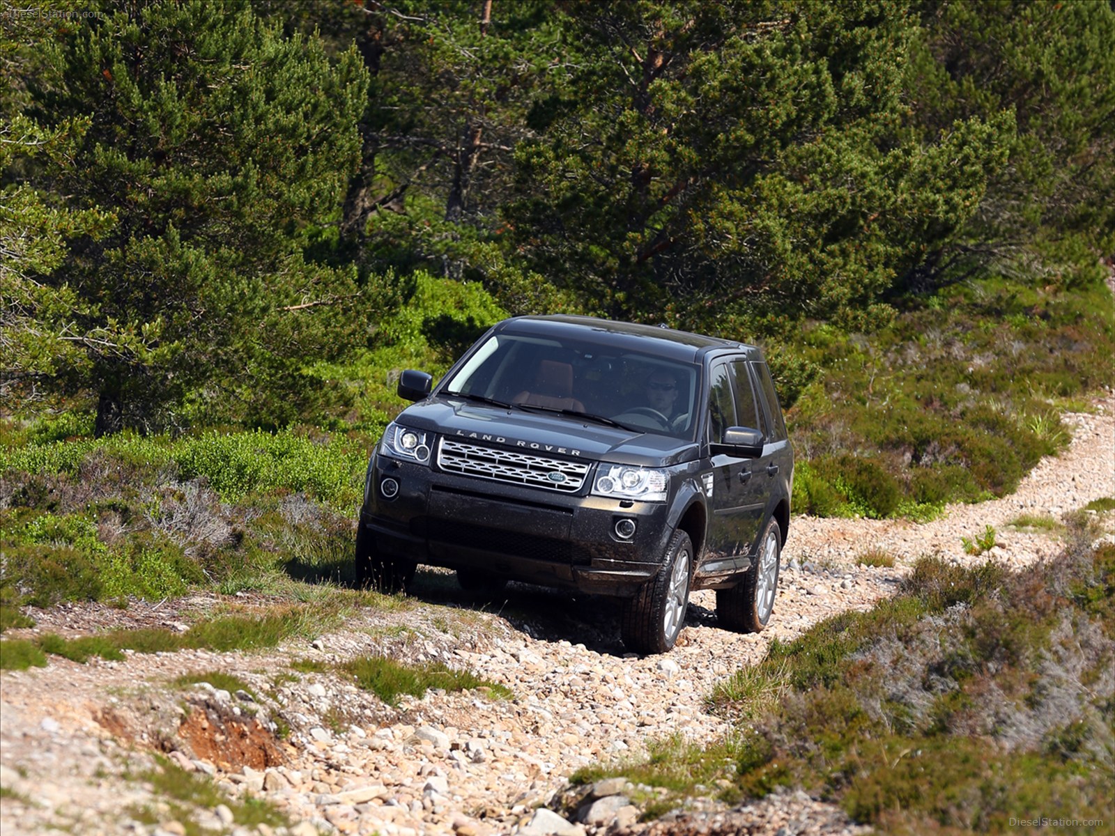 Land Rover Freelander 2 2013